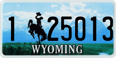 WY license plate 125013