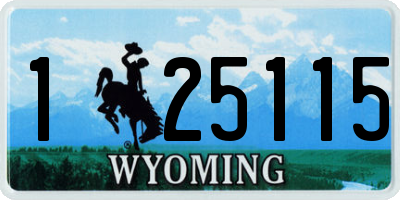 WY license plate 125115