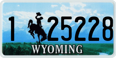 WY license plate 125228