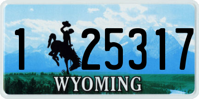 WY license plate 125317