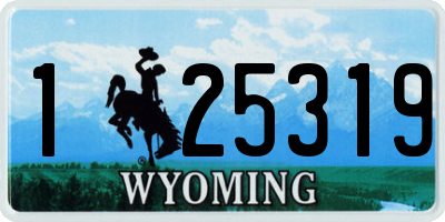 WY license plate 125319