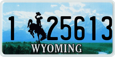 WY license plate 125613