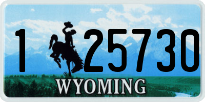 WY license plate 125730