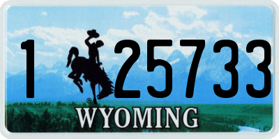 WY license plate 125733