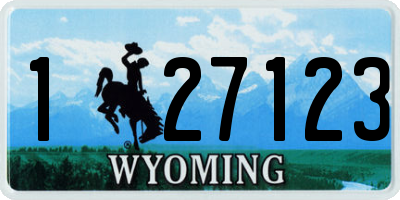 WY license plate 127123