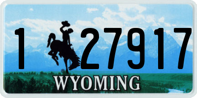 WY license plate 127917