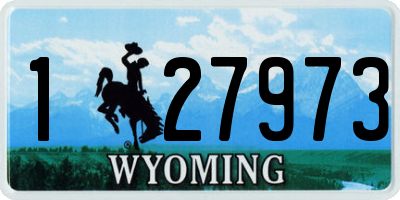 WY license plate 127973