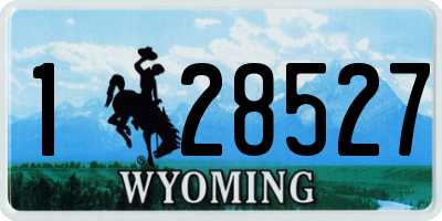 WY license plate 128527