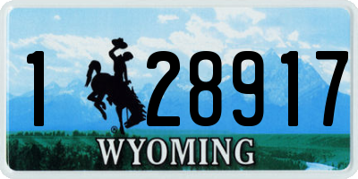 WY license plate 128917