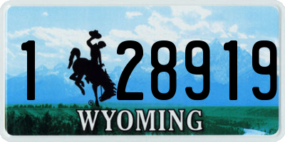 WY license plate 128919