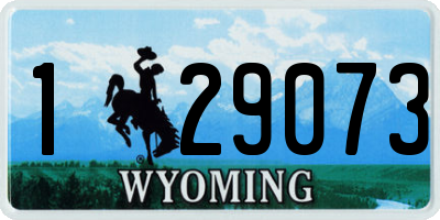 WY license plate 129073