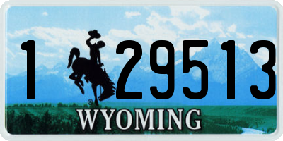 WY license plate 129513