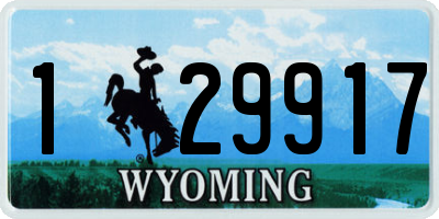 WY license plate 129917
