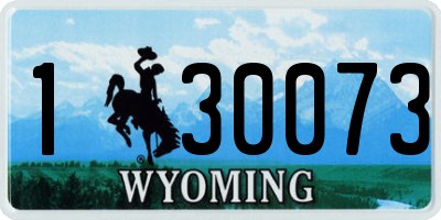 WY license plate 130073