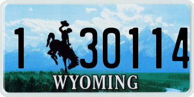 WY license plate 130114