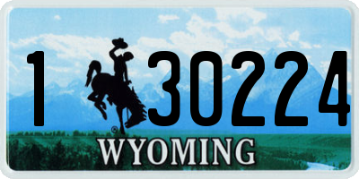 WY license plate 130224