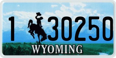 WY license plate 130250