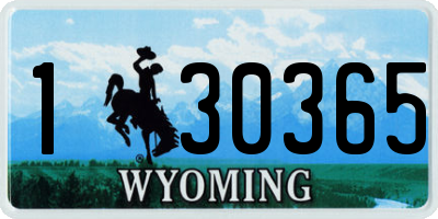 WY license plate 130365