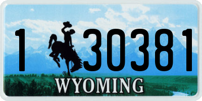 WY license plate 130381