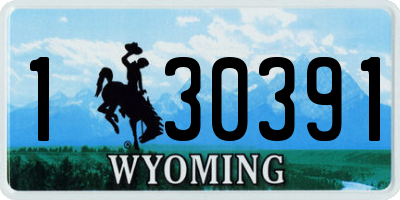 WY license plate 130391