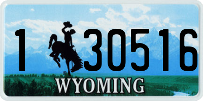 WY license plate 130516
