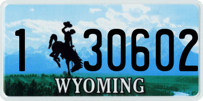 WY license plate 130602