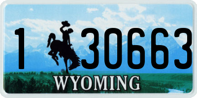 WY license plate 130663