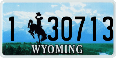 WY license plate 130713