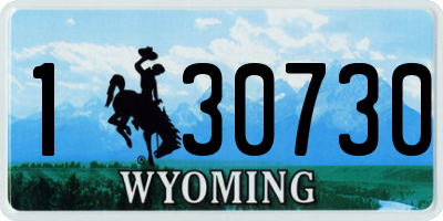WY license plate 130730