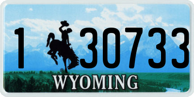 WY license plate 130733