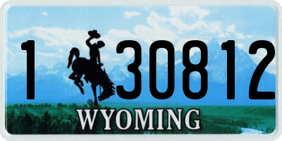 WY license plate 130812