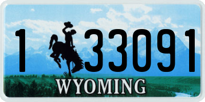 WY license plate 133091