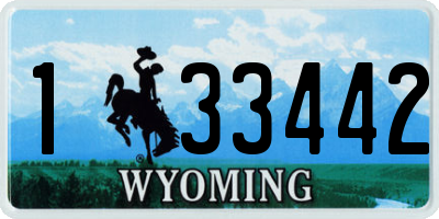 WY license plate 133442