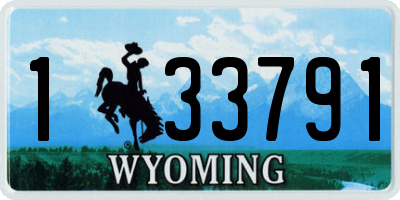 WY license plate 133791