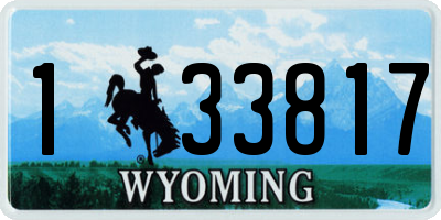 WY license plate 133817