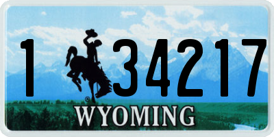 WY license plate 134217