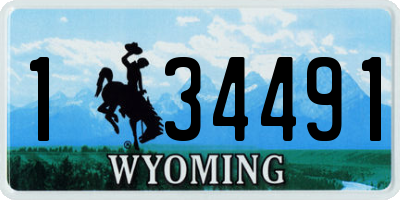 WY license plate 134491
