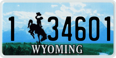 WY license plate 134601