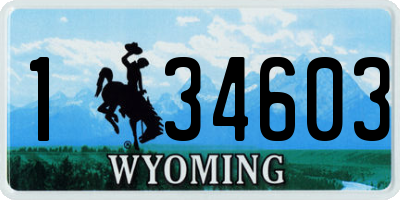 WY license plate 134603