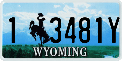 WY license plate 13481Y