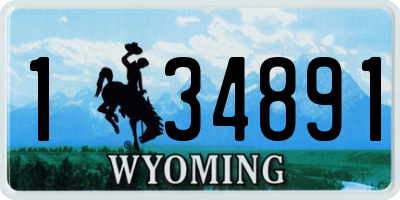 WY license plate 134891