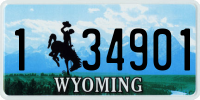 WY license plate 134901