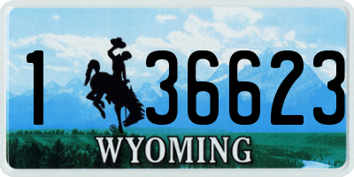 WY license plate 136623