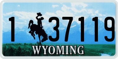 WY license plate 137119
