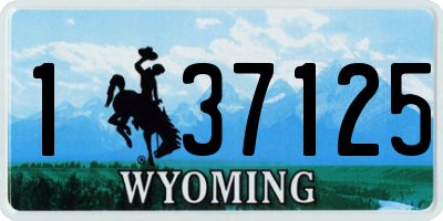 WY license plate 137125