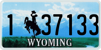 WY license plate 137133