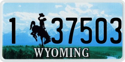 WY license plate 137503