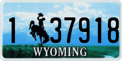 WY license plate 137918