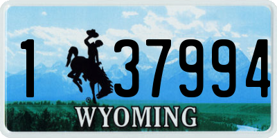 WY license plate 137994