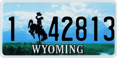 WY license plate 142813